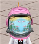 可愛いお魚発見