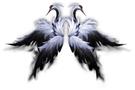 白鶴の翼