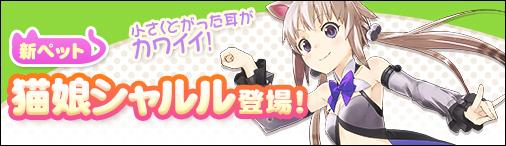 新ペット猫娘「シャルル」登場