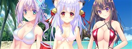 新規R