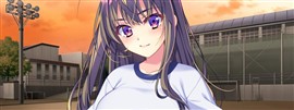 新規R